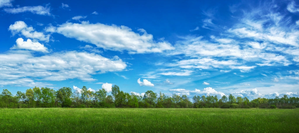 Você sabia que dia 4/10 é o Dia Mundial da Natureza?