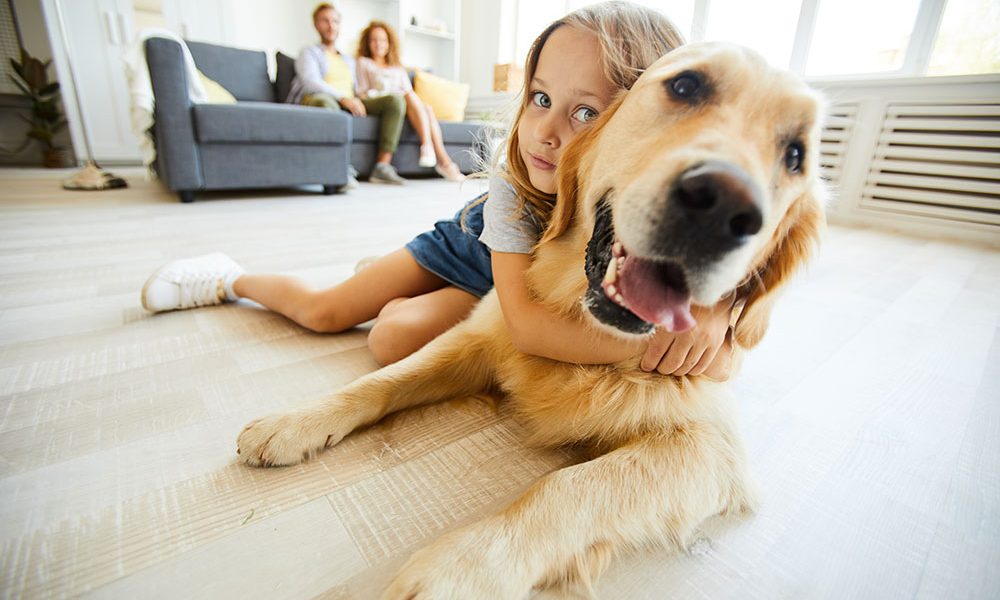 Casa com pets? Confira 3 dicas de limpeza!