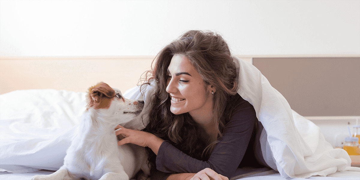 Kit pet: os produtinhos que salvam na hora dos cuidados na casa de quem tem pet