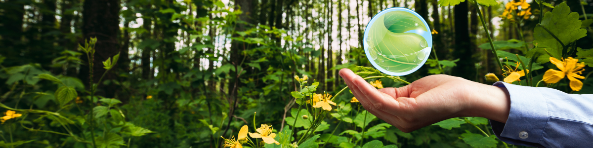 Limpeza Ecológica: Quais os produtos certos para sua casa e para o meio ambiente?